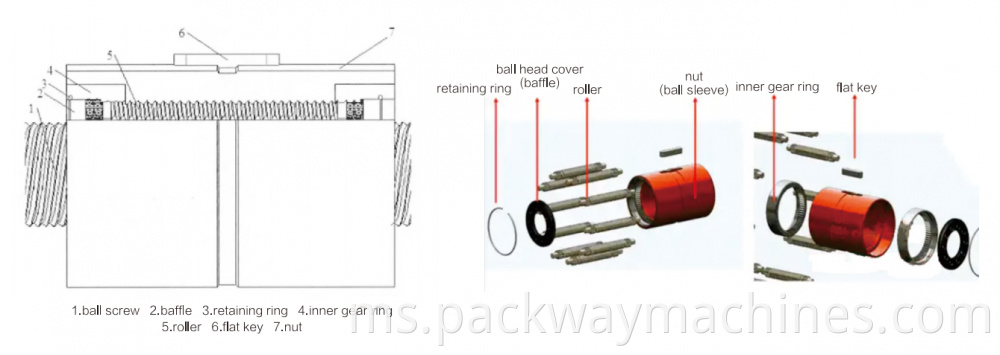 Structure Of Planetary Roller Screw